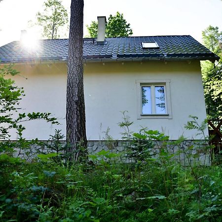Górski Domek koło Karpacza- Apartamentuj Exterior foto