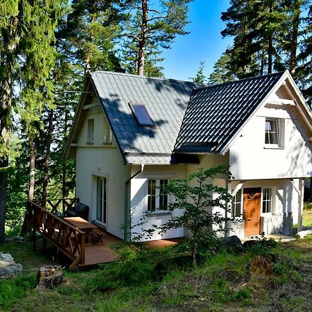 Górski Domek koło Karpacza- Apartamentuj Exterior foto