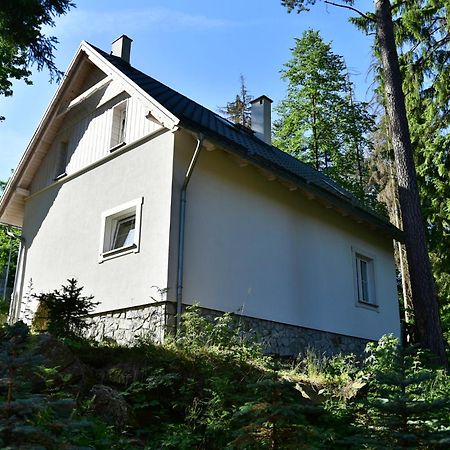 Górski Domek koło Karpacza- Apartamentuj Exterior foto