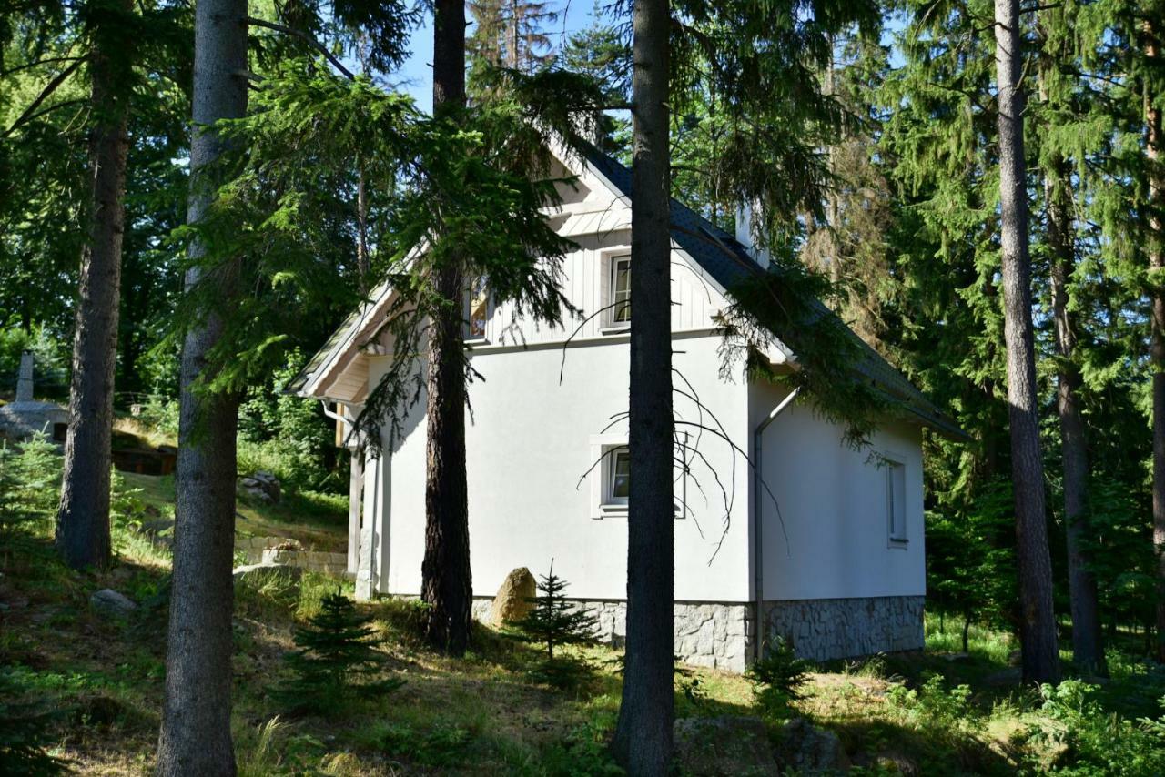 Górski Domek koło Karpacza- Apartamentuj Exterior foto